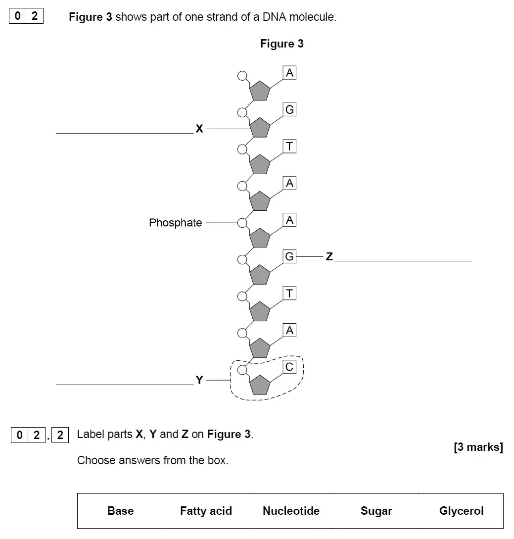 Question 9 - GCSE AQA Higher Biology Past Paper 2 - June 2019