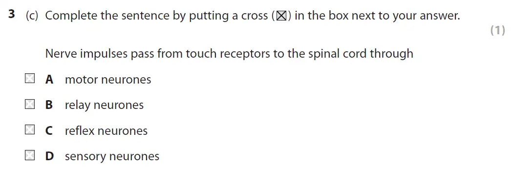Question 12 - GCSE Edexcel Foundation Biology Past Paper 1 - June 2017