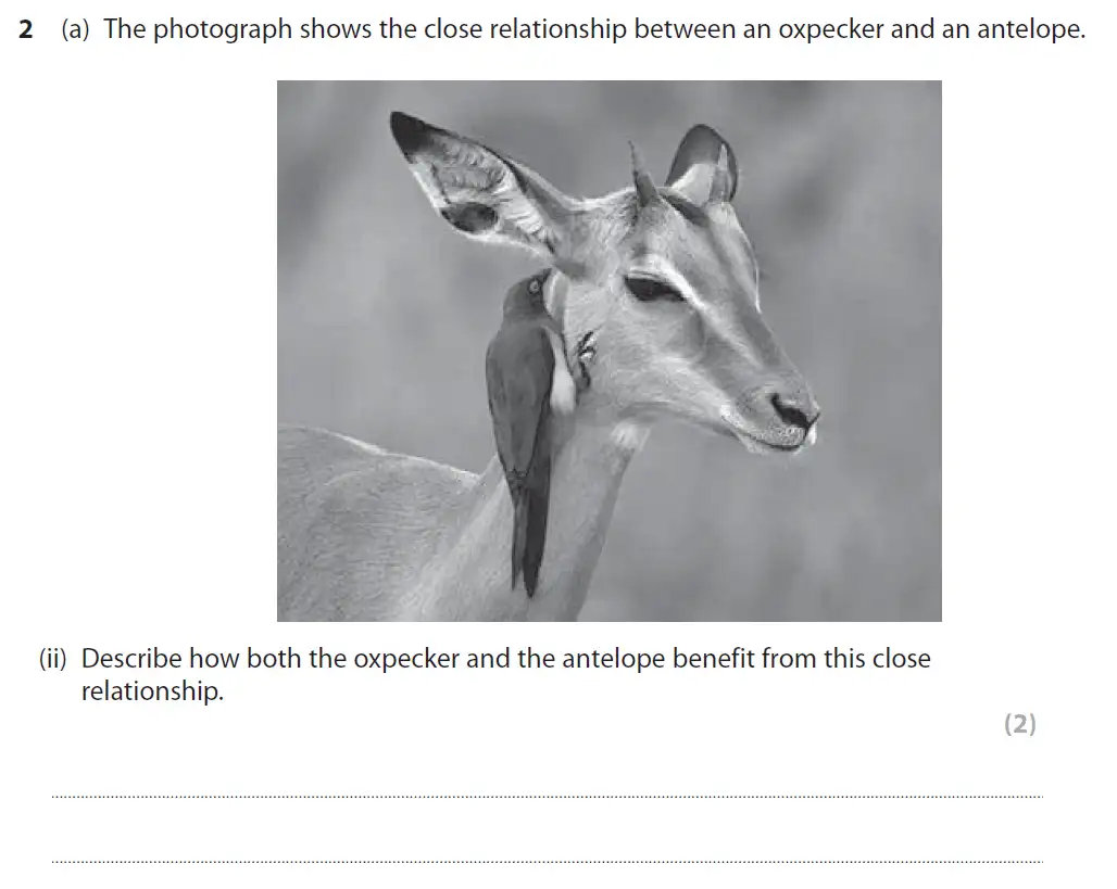 Question 6 - GCSE Edexcel Foundation Biology Past Paper 1 - June 2017