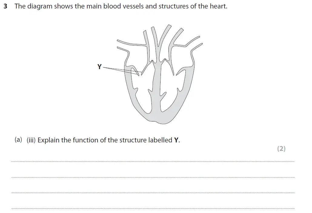 Question 10 - GCSE Edexcel Foundation Biology Past Paper 2 - June 2017