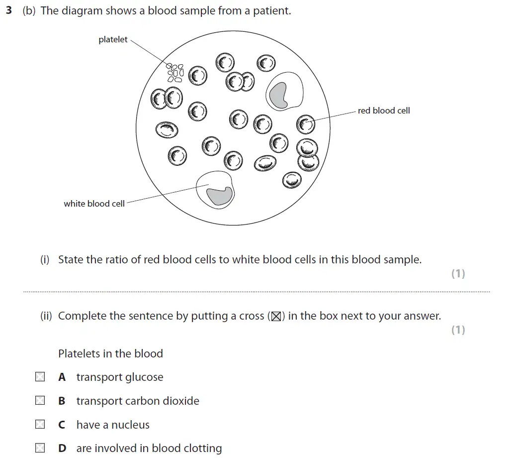 Question 11 - GCSE Edexcel Foundation Biology Past Paper 2 - June 2017