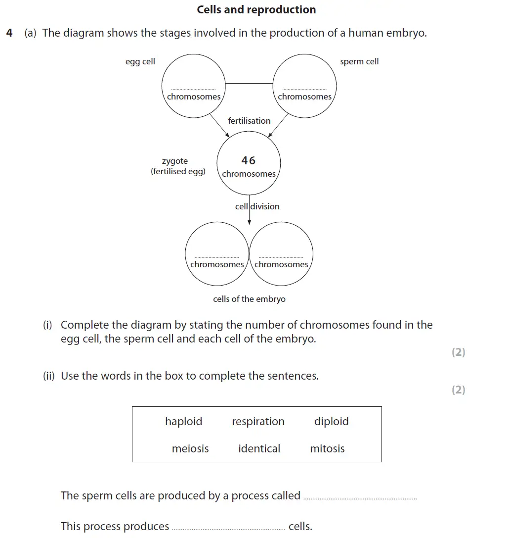Question 13 - GCSE Edexcel Foundation Biology Past Paper 2 - June 2017