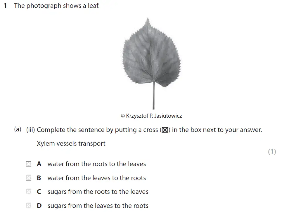 Question 3 - GCSE Edexcel Foundation Biology Past Paper 2 - June 2017
