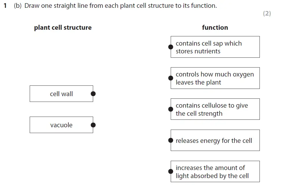 Question 4 - GCSE Edexcel Foundation Biology Past Paper 2 - June 2017