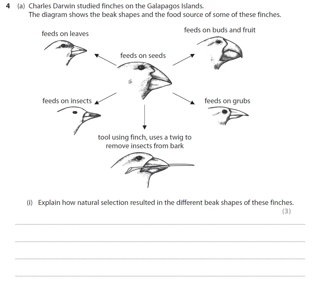 Question 13 - GCSE Edexcel Higher Biology Past Paper 1 - June 2017