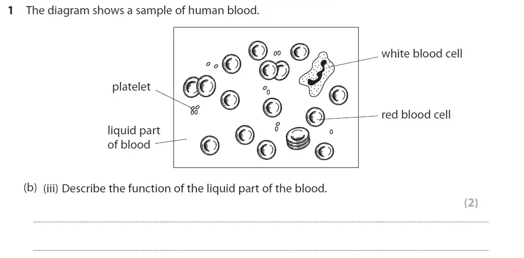 Question 3 - GCSE Edexcel Higher Biology Past Paper 2 - June 2017