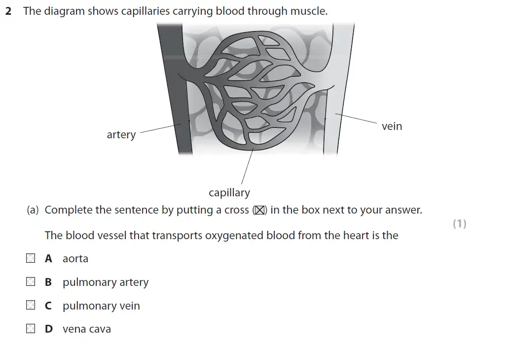 Question 5 - GCSE Edexcel Higher Biology Past Paper 2 - June 2017