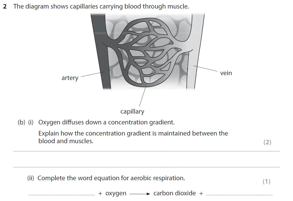 Question 6 - GCSE Edexcel Higher Biology Past Paper 2 - June 2017