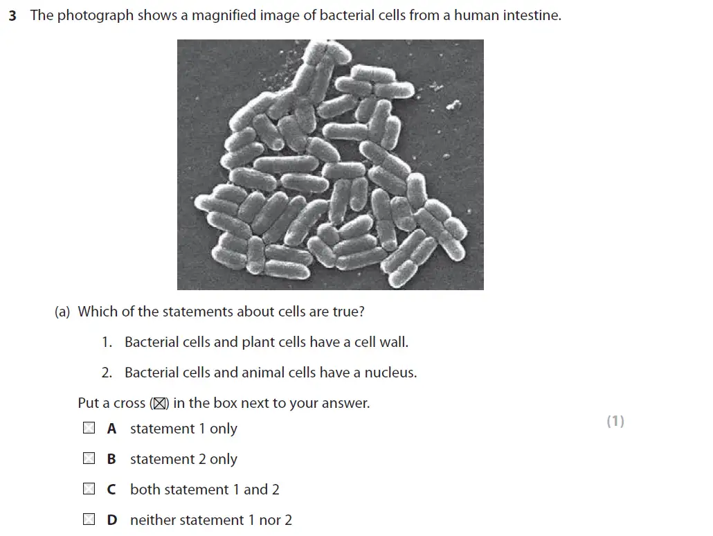 Question 9 - GCSE Edexcel Higher Biology Past Paper 2 - June 2017