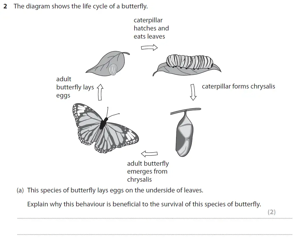 Question 5 - GCSE Edexcel Higher Biology Past Paper 3 - June 2017