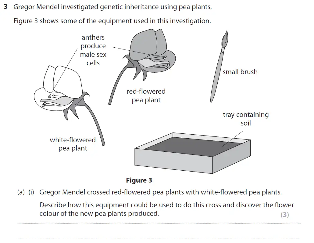 Question 10 - GCSE Edexcel Foundation Biology Past Paper 1 - June 2018