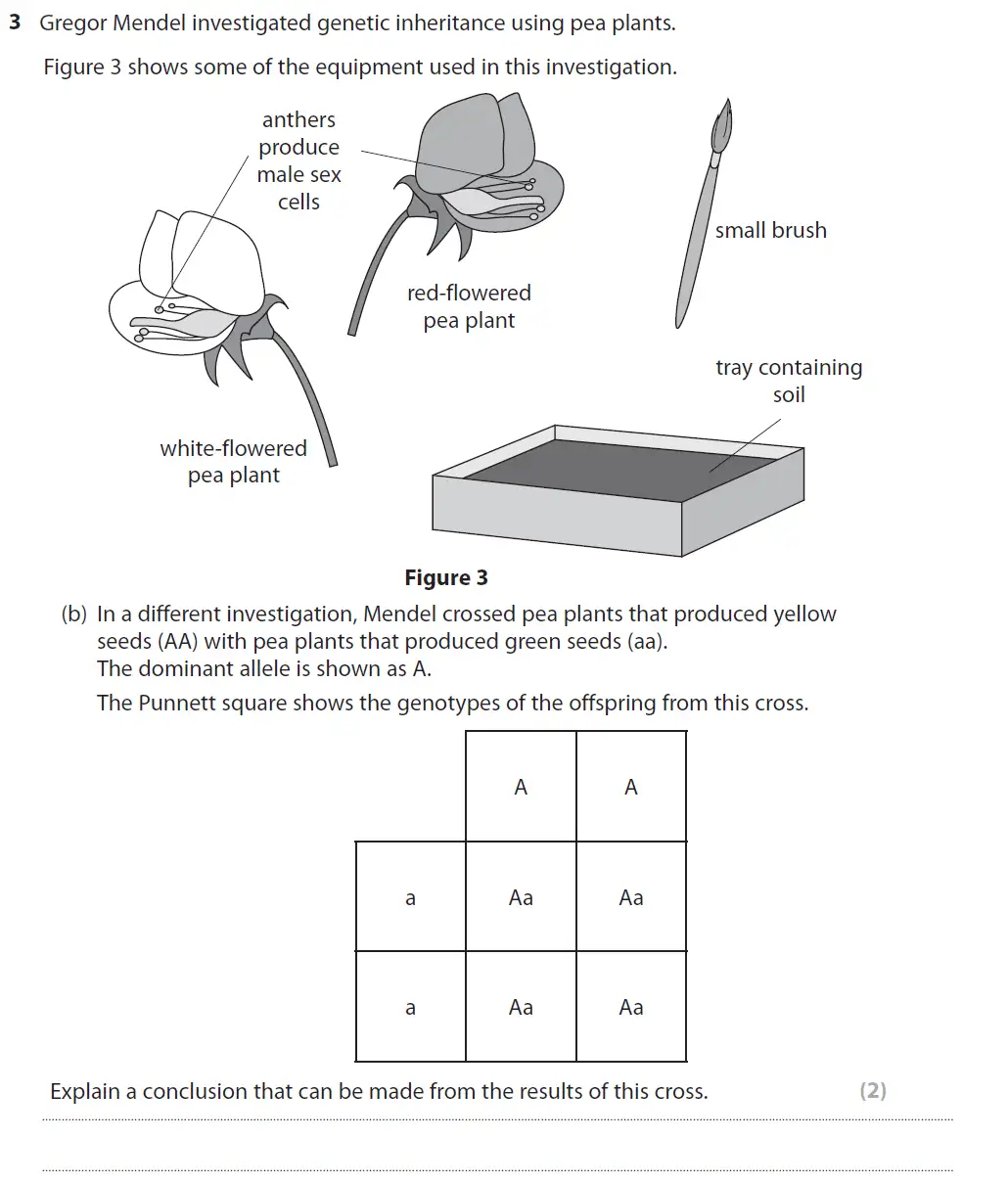 Question 12 - GCSE Edexcel Foundation Biology Past Paper 1 - June 2018
