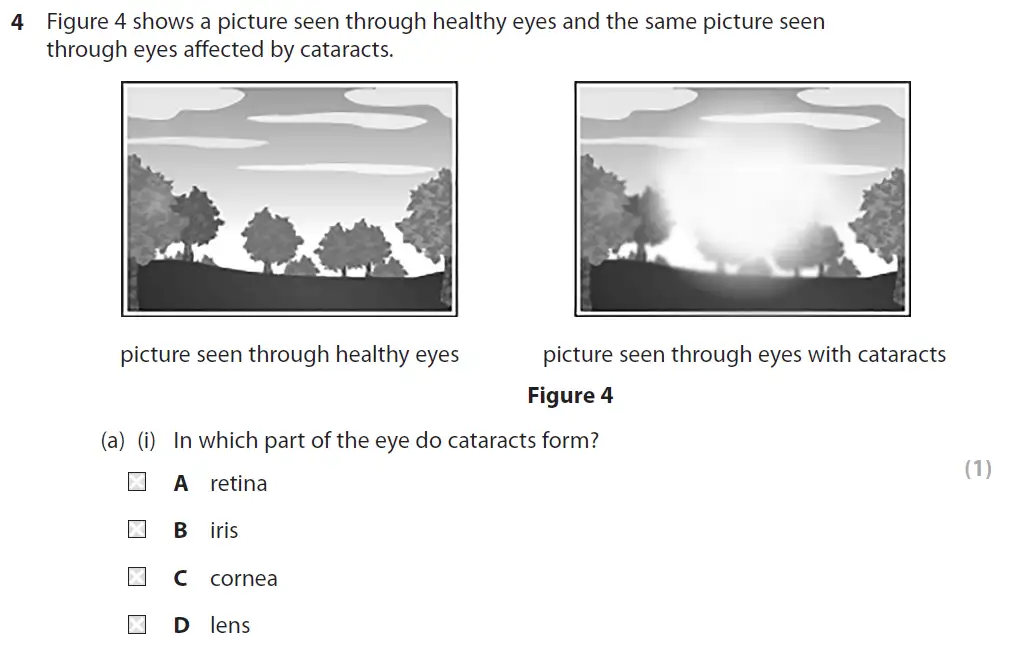 Question 14 - GCSE Edexcel Foundation Biology Past Paper 1 - June 2018
