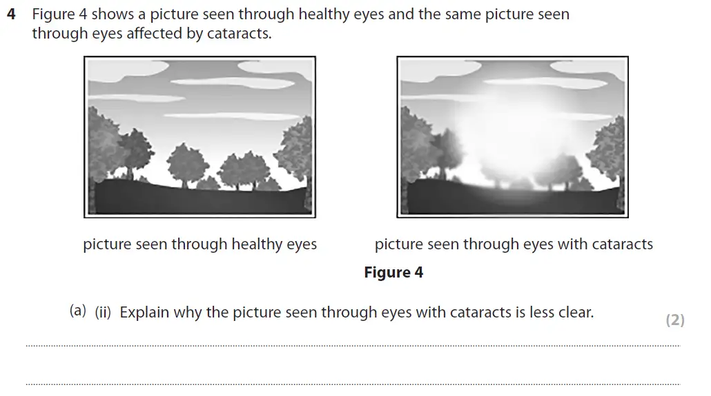Question 15 - GCSE Edexcel Foundation Biology Past Paper 1 - June 2018