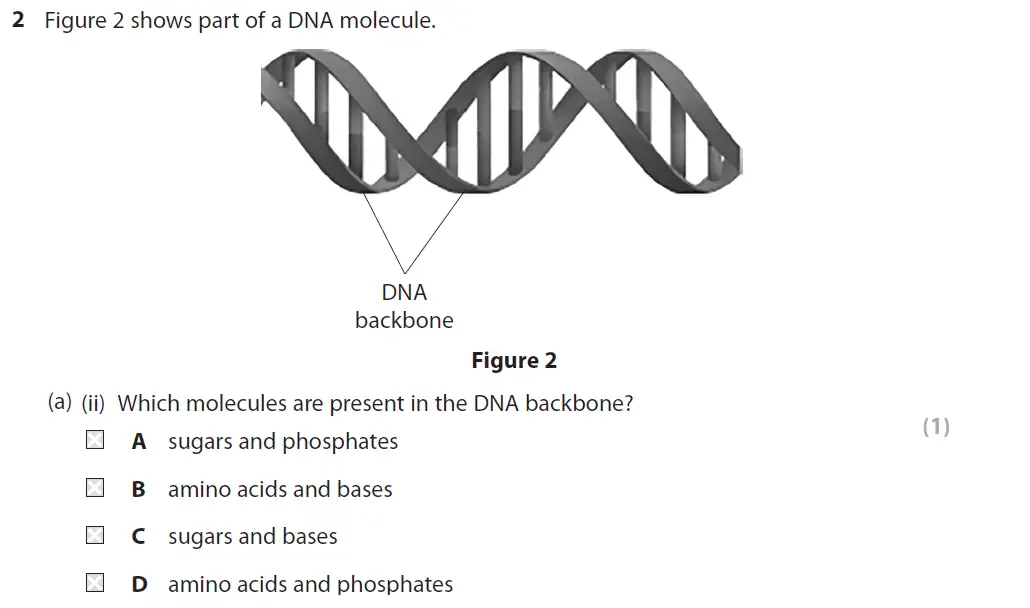 Question 6 - GCSE Edexcel Foundation Biology Past Paper 1 - June 2018