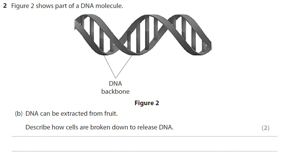 Question 8 - GCSE Edexcel Foundation Biology Past Paper 1 - June 2018