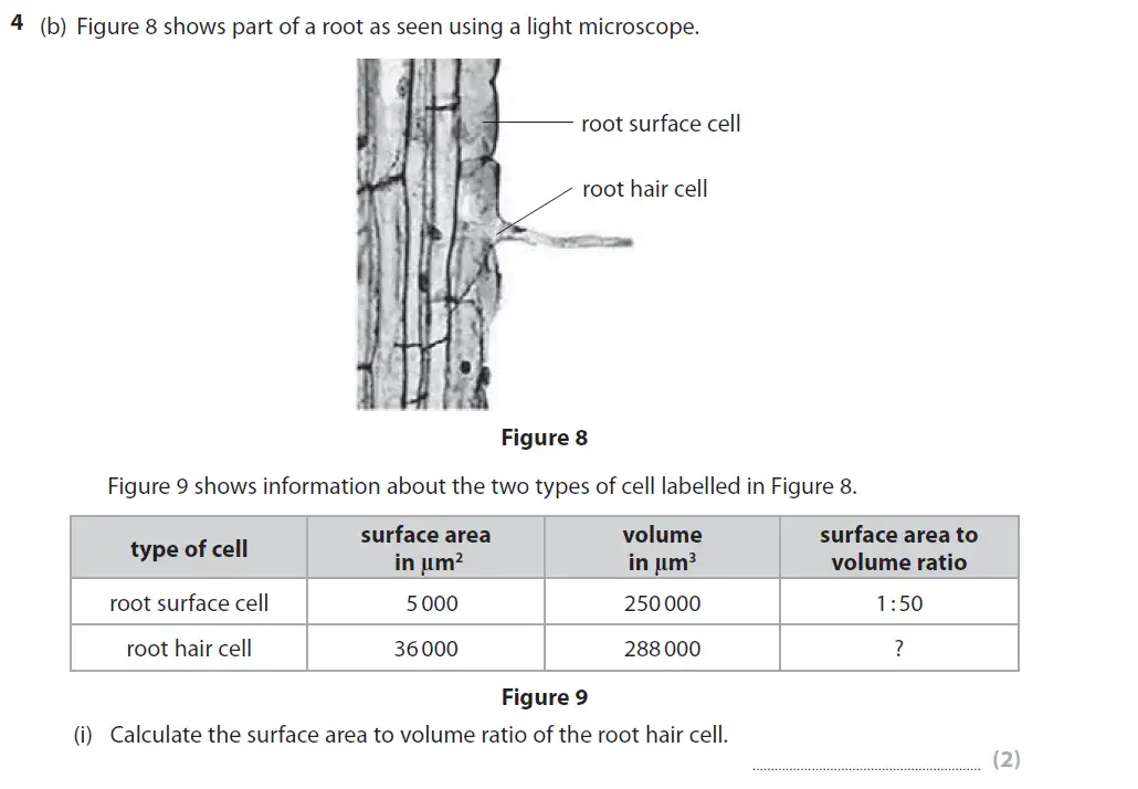 Question 13 - GCSE Edexcel Foundation Biology Past Paper 2 - June 2018