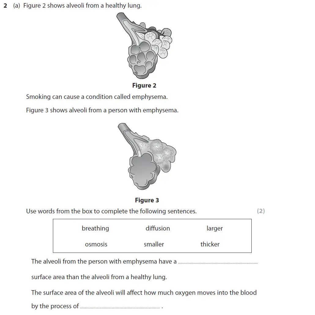 Question 4 - GCSE Edexcel Foundation Biology Past Paper 2 - June 2018