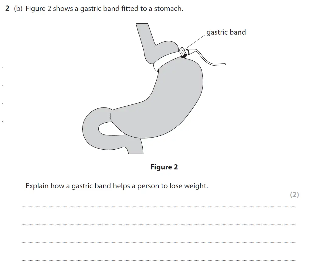 Question 5 - GCSE Edexcel Higher Biology Past Paper 1 - November 2018