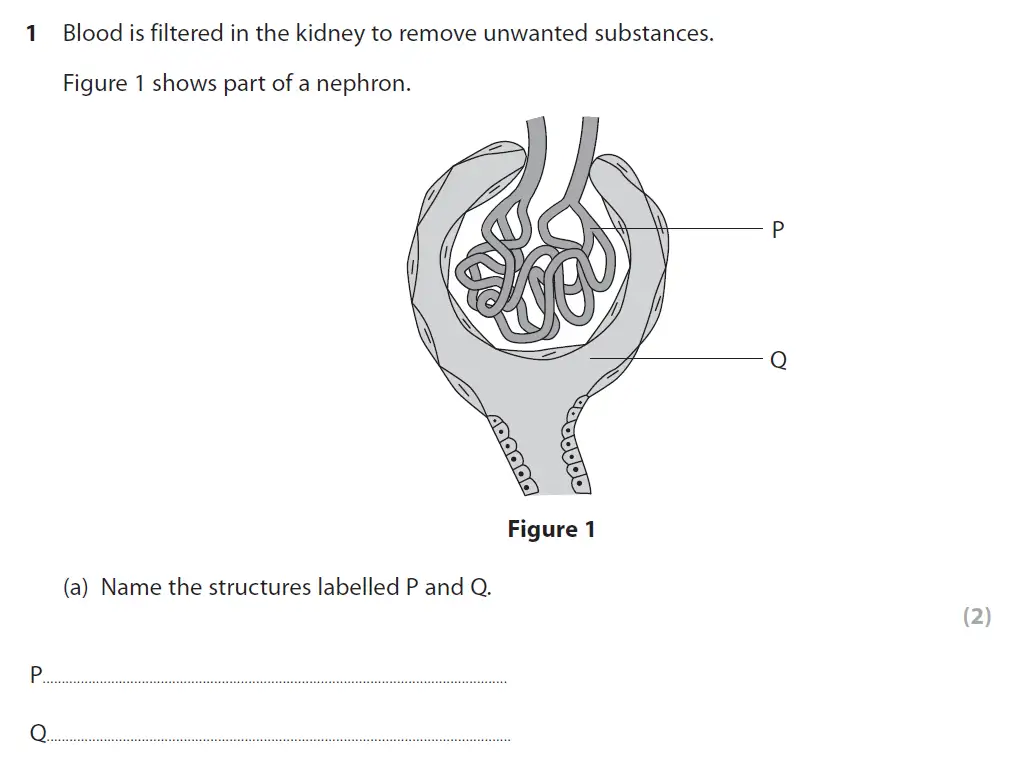 Question 1 - GCSE Edexcel Higher Biology Past Paper 2 - November 2018