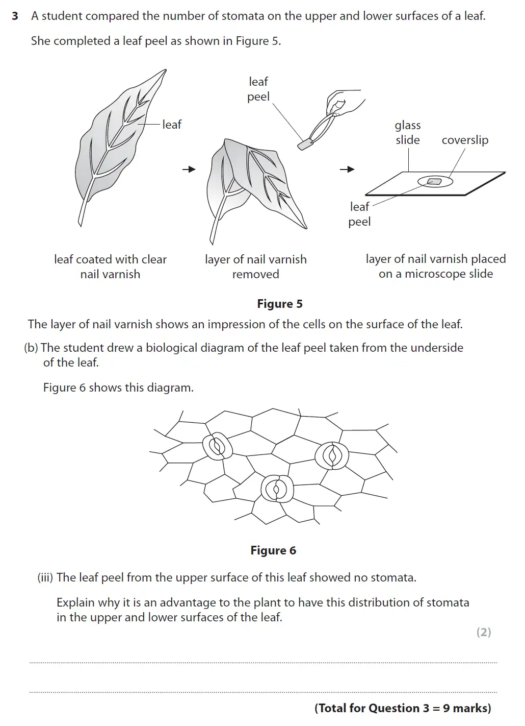 Question 10 - GCSE Edexcel Higher Biology Past Paper 2 - November 2018