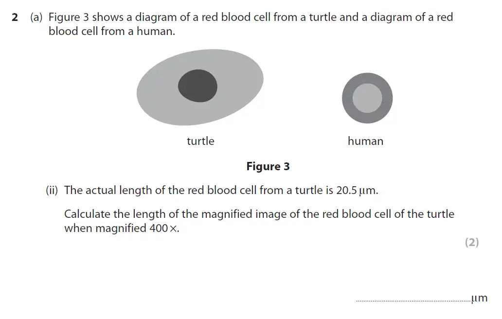 Question 5 - GCSE Edexcel Higher Biology Past Paper 2 - November 2018