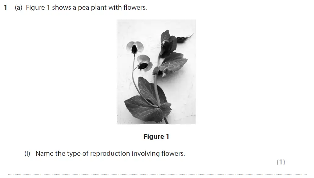 Question 1 - GCSE Edexcel Foundation Biology Past Paper 1 - June 2019