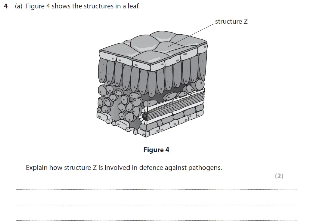 Question 13 - GCSE Edexcel Foundation Biology Past Paper 1 - June 2019
