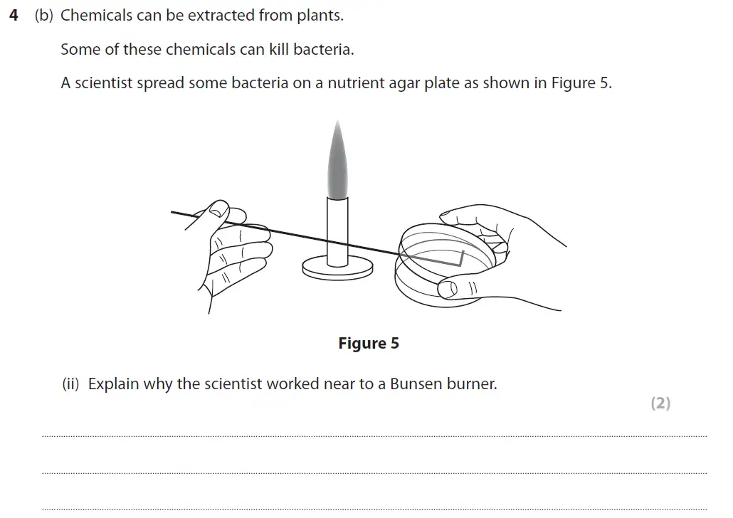 Question 15 - GCSE Edexcel Foundation Biology Past Paper 1 - June 2019