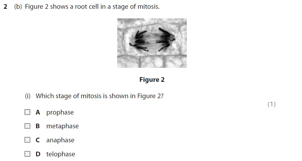 Question 8 - GCSE Edexcel Foundation Biology Past Paper 1 - June 2019