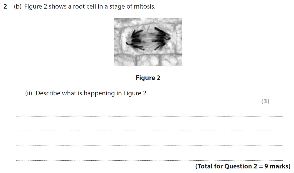 Question 9 - GCSE Edexcel Foundation Biology Past Paper 1 - June 2019