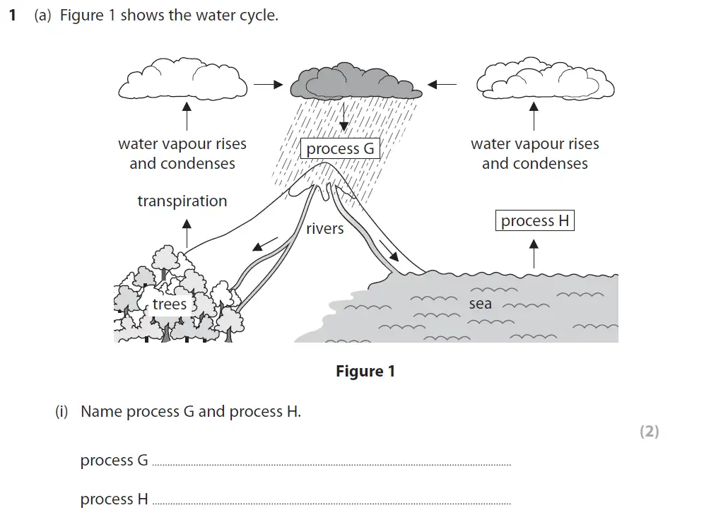 Question 1 - GCSE Edexcel Foundation Biology Past Paper 2 - June 2019