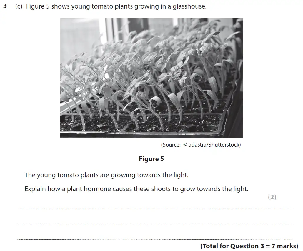 Question 10 - GCSE Edexcel Foundation Biology Past Paper 2 - June 2019