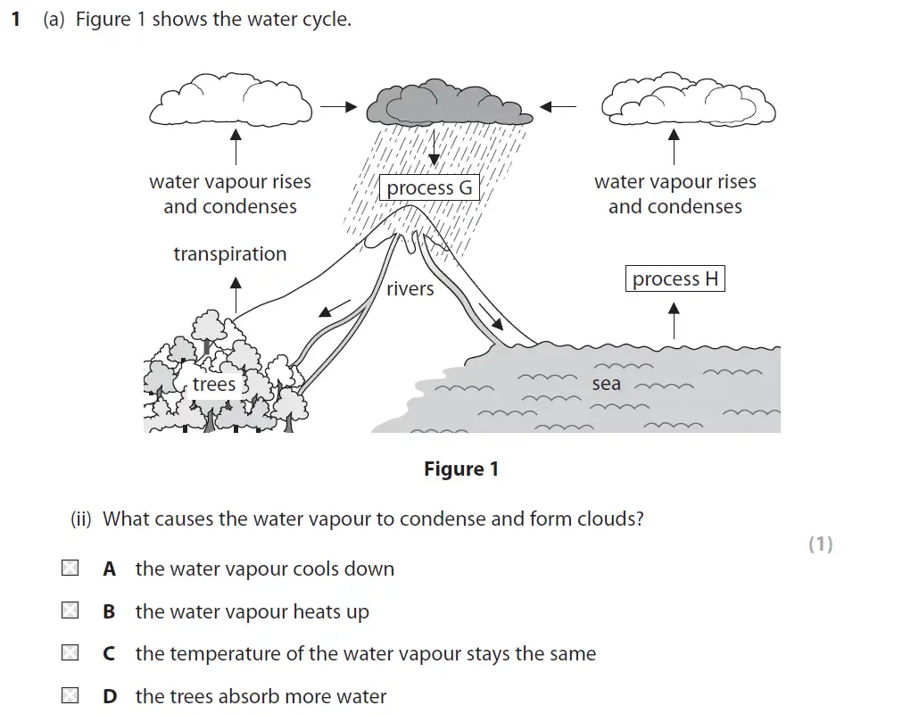 Question 2 - GCSE Edexcel Foundation Biology Past Paper 2 - June 2019