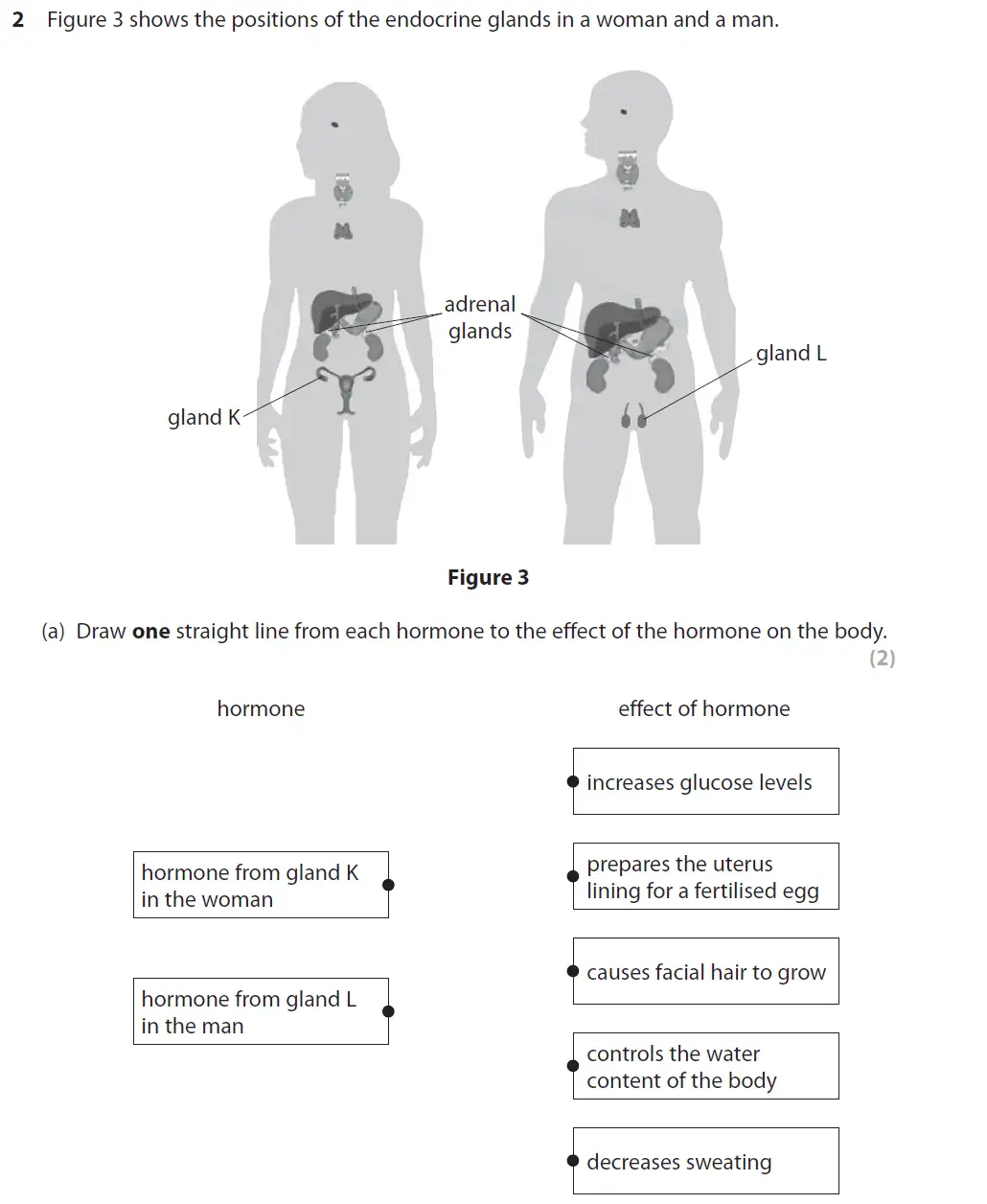 Question 5 - GCSE Edexcel Foundation Biology Past Paper 2 - June 2019