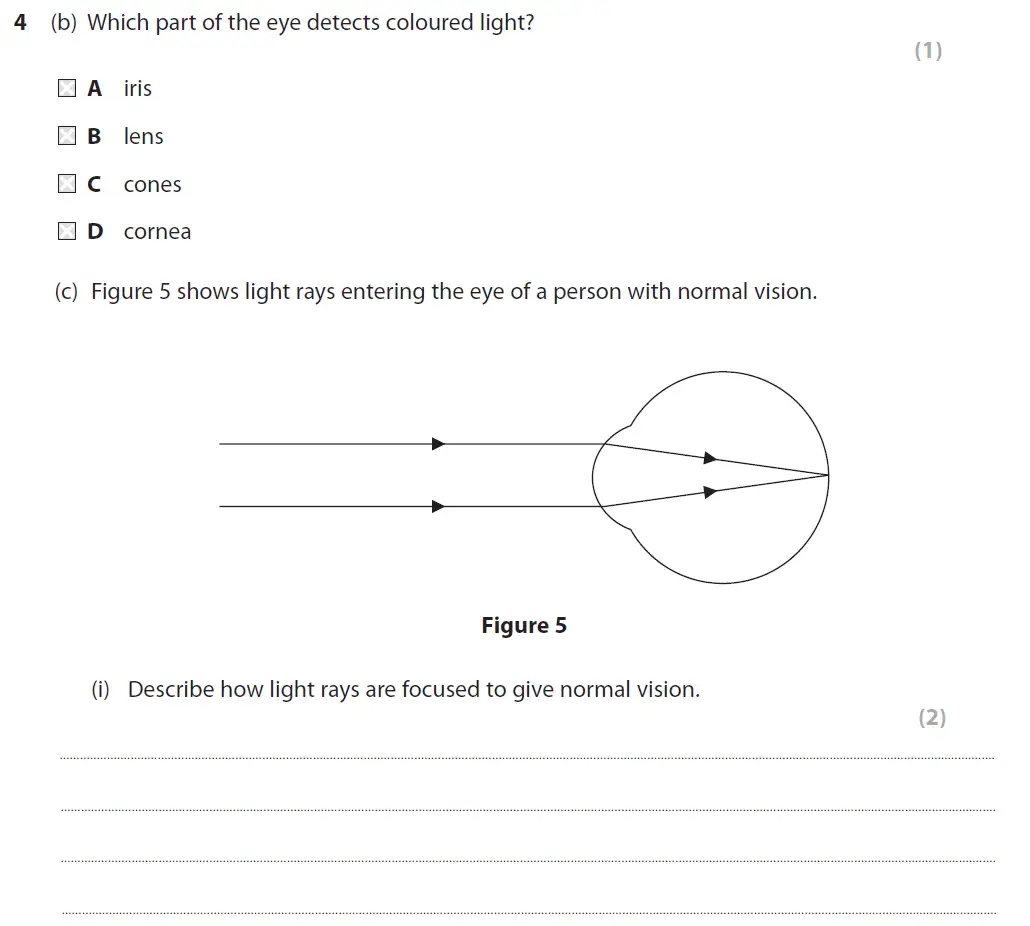 Question 11 - GCSE Edexcel Higher Biology Past Paper 1 - June 2019