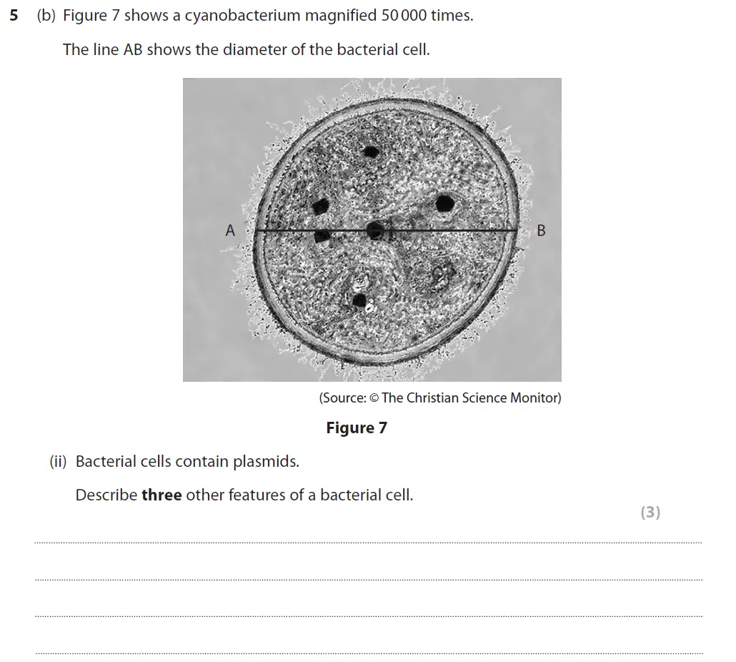 Question 15 - GCSE Edexcel Higher Biology Past Paper 1 - June 2019