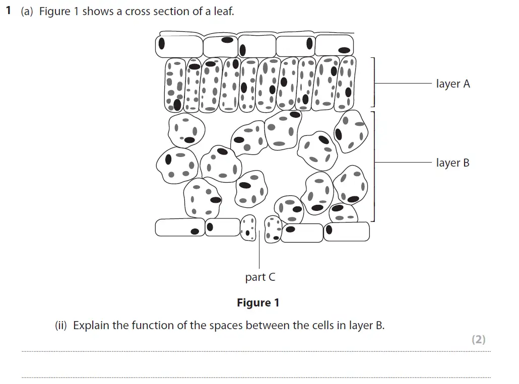 Question 2 - GCSE Edexcel Higher Biology Past Paper 2 - June 2019