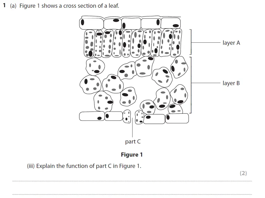 Question 3 - GCSE Edexcel Higher Biology Past Paper 2 - June 2019