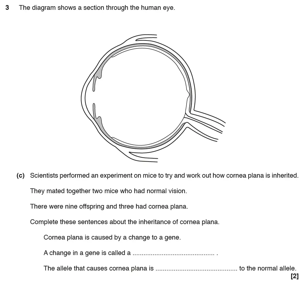 Question 11 - GCSE OCR Foundation Biology Past Paper 1 - June 2017