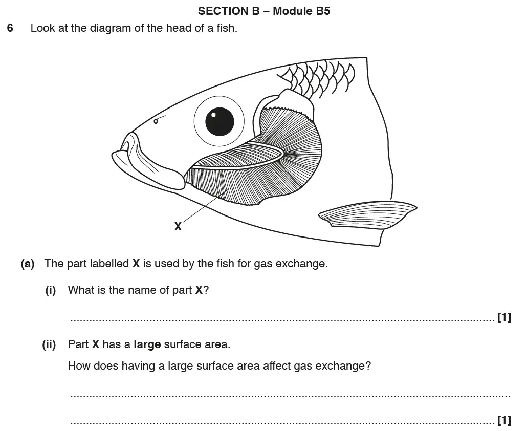 Question 13 - GCSE OCR Foundation Biology Past Paper 2 - June 2017