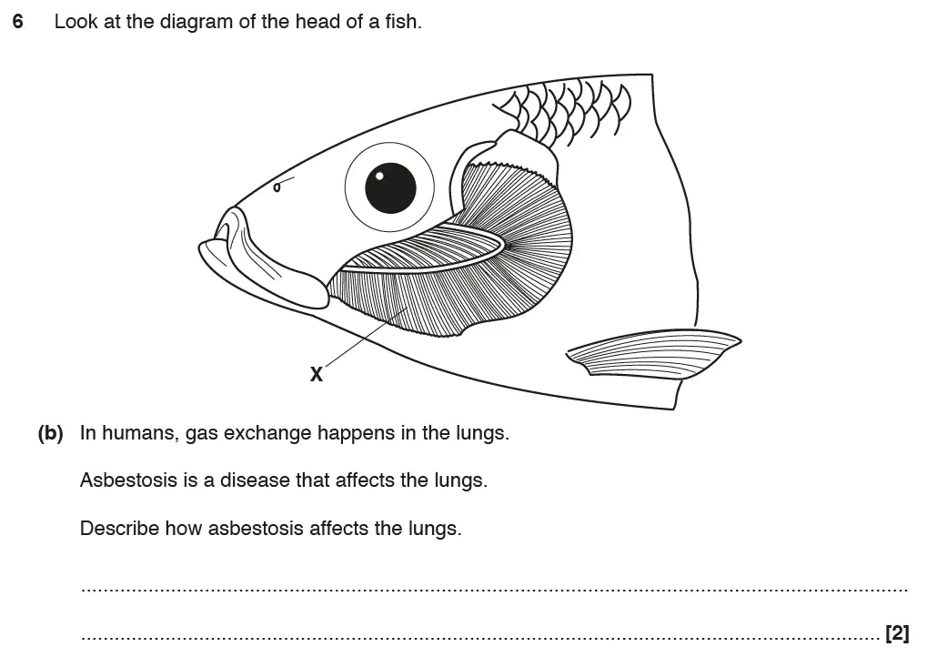 Question 14 - GCSE OCR Foundation Biology Past Paper 2 - June 2017