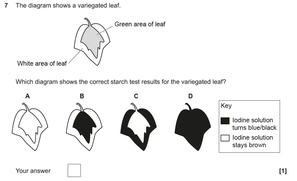 Question 7 - GCSE OCR Foundation Biology Past Paper 1 - June 2018