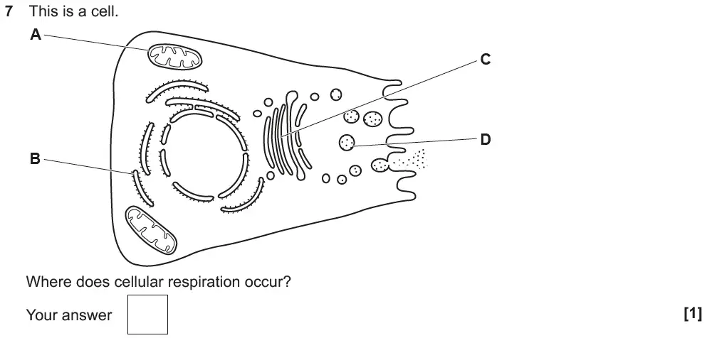 Question 7 - GCSE OCR Higher Biology Past Paper 3 - June 2018