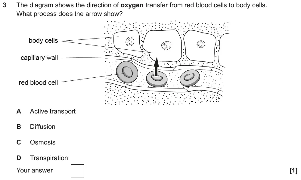 Question 3 - GCSE OCR Foundation Biology Past Paper 1 - June 2019