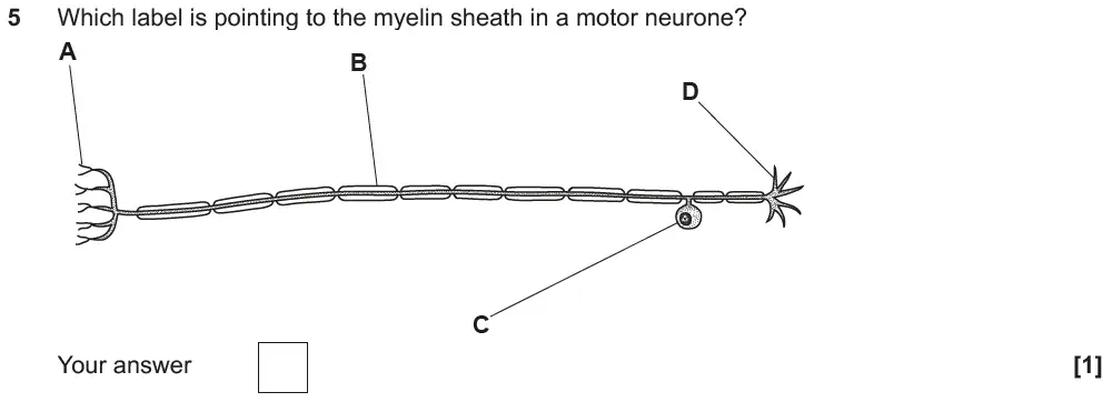 Question 5 - GCSE OCR Foundation Biology Past Paper 1 - June 2019