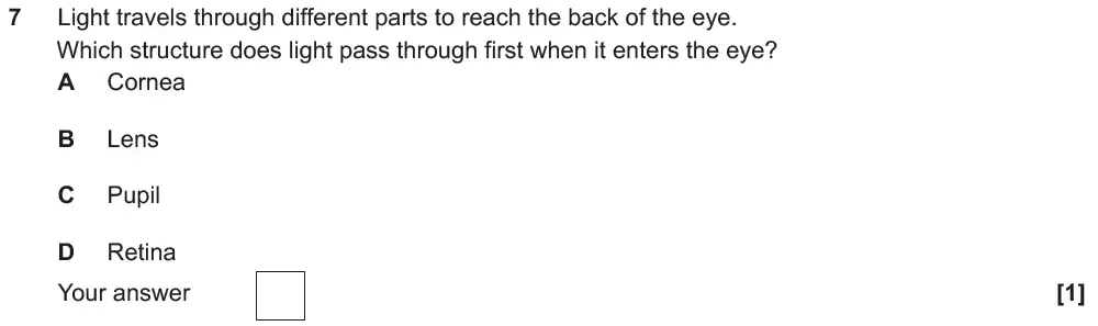 Question 7 - GCSE OCR Foundation Biology Past Paper 1 - June 2019