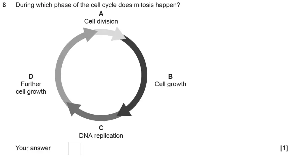 Question 8 - GCSE OCR Foundation Biology Past Paper 1 - June 2019
