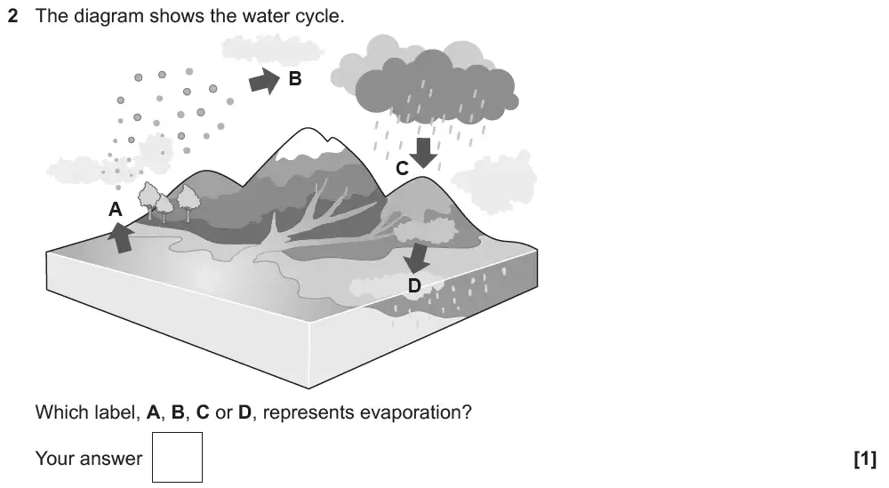 Question 02 - OCR GCSE Foundation Biology Past Paper 2 - June 2019