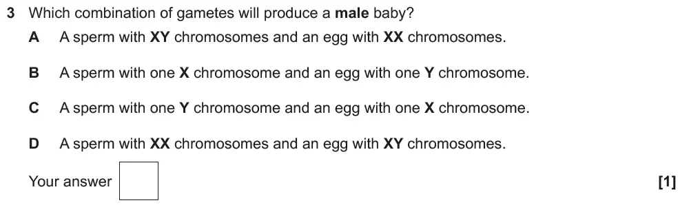 Question 03 - OCR GCSE Foundation Biology Past Paper 2 - June 2019